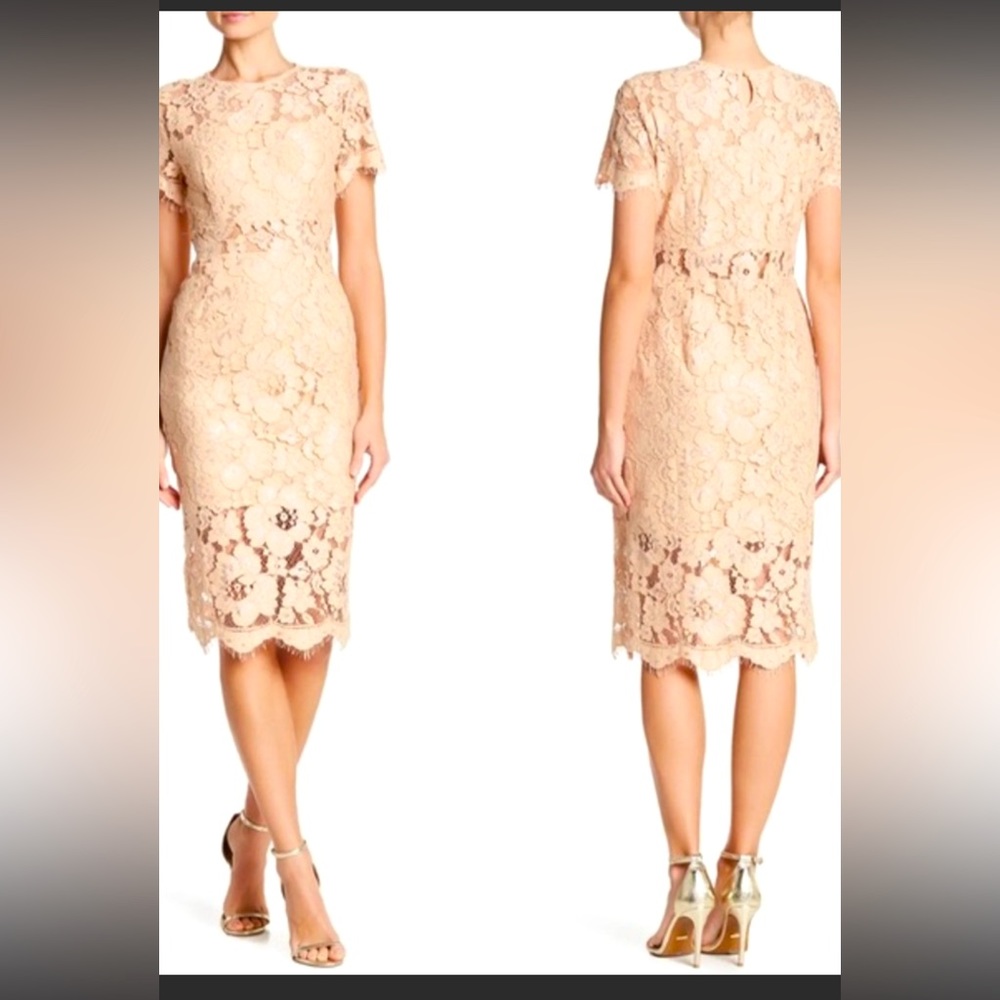 NSR Lace Short Sleeves MIDI Sheath women’s Dress - Picture 2 of 11